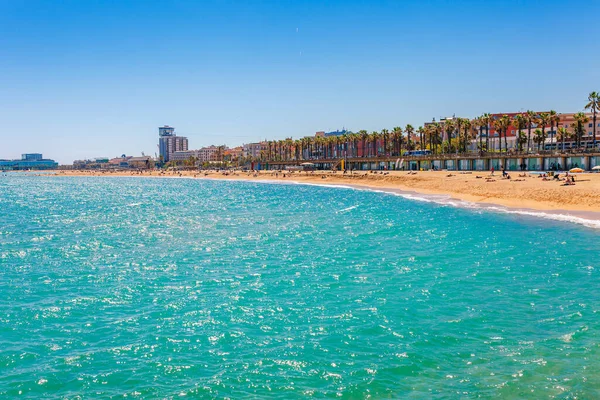 Barceloneta Beach Barcelona Nice Sand Beach Palms Sunny Bright Day — Stock Photo, Image