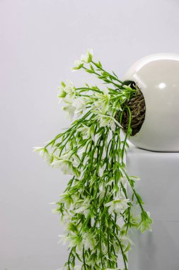 Modern seramik küresel bir vazodan dökülen suni, beyaz bir çiçeğin sanatsal hayatı.