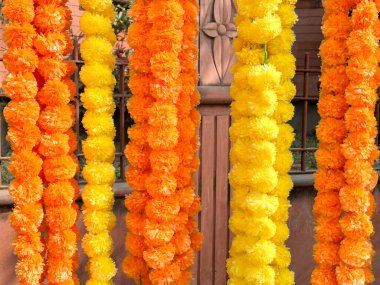 Hint Marigold Çiçeği Yapay Dekoratifinin Kapanışı.