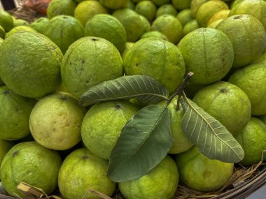 Yakın çekim yeşil guava meyveleri grubu taze ve pazarda olgunlaşmış. Kategori yemekleri.