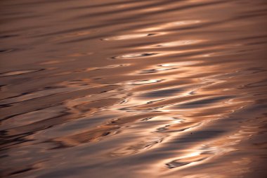 Su kahverengidir ve dalgalanmaları vardır..