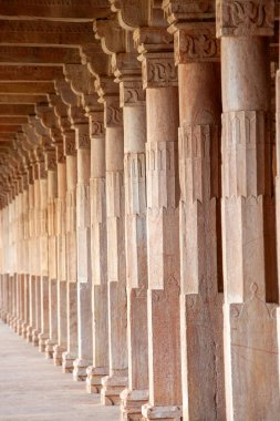 Üzerinde bir sürü detay olan uzun bir sıra sütun. Sütunlar taştan yapılmıştır ve çok uzundur, Mandu, Hindistan.