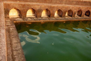 Yeşilimsi renkli küçük bir su havuzu. Su gökyüzünden gelen ışığı yansıtıyor, Mandu, Hindistan.