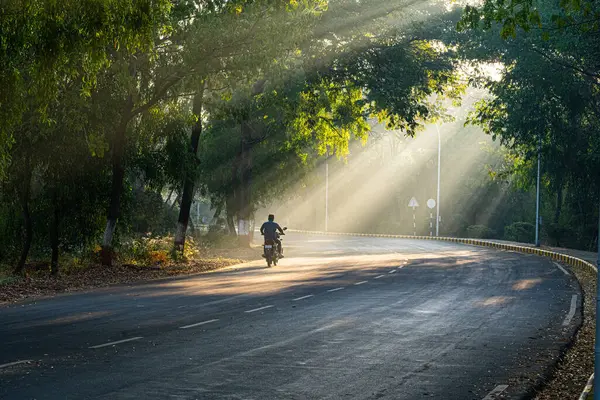 A man rides a motorcycle down a road with trees in the background. The sun is shining through the trees, creating a peaceful and serene atmosphere