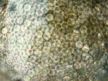 Pek çok küçük dairenin bulanık bir görüntüsü. Daireler farklı boyutlarda ve renklerde. Bu görüntünün hayali, ruhani bir kalitesi var.