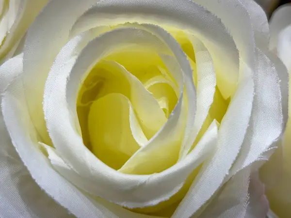 A close up of a white rose with a yellow center. The rose is the main focus of the image, and the yellow center draws attention to it. Concept of beauty and elegance