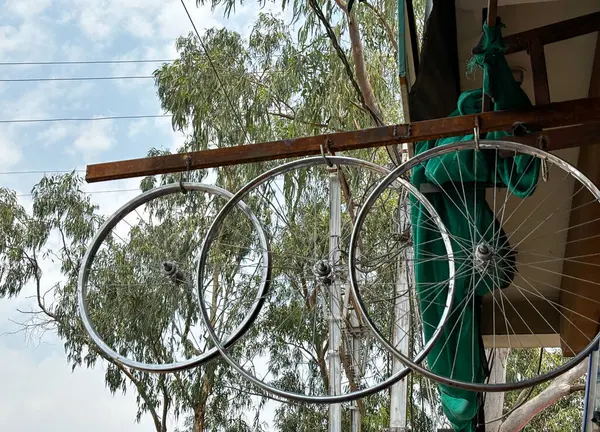 Three bicycle wheels are hanging from a pole. The first wheel is silver and the other two are green