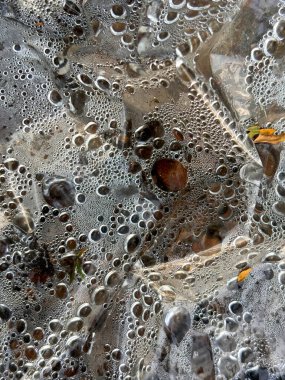 Görüntü, üzerinde su damlacıkları olan bir yaprak. Damlacıklar yaprağın her tarafına saçılmış güzel ve huzurlu bir manzara yaratıyorlar. Su damlacıkları zamanla donmuş gibi görünüyor.