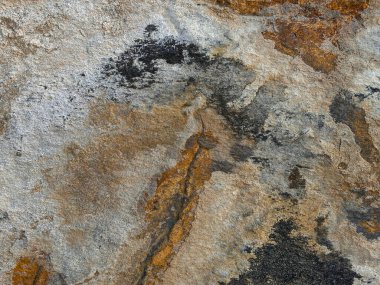 Bir sürü deseni ve birkaç siyah noktası olan bir kaya. Kaya kahverengi ve gri.