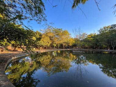 Ortasında bir ağaç ve sağ tarafında bir bank olan bir gölet. Su sakin ve ağacın ve bankın yansıması suda görülebilir.