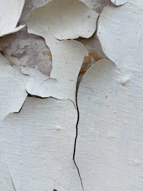 İçinde büyük bir çatlak olan bir duvar ve boyası soyuluyor. Duvar eski ve yıpranmış görünüyor. Çürüme ve terk edilme hissi var. Duvardaki çatlak geniş ve derin.