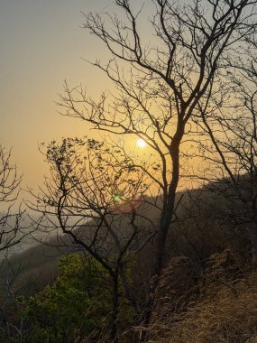 Yaprağı olmayan bir ağaç parlak turuncu bir güneşe karşı siluetlidir. Güneş gökyüzünün aşağısında, manzaranın üzerine sıcak bir parıltı saçıyor. Huzurlu ve huzurlu bir sahne.