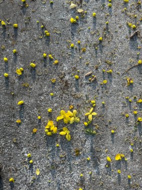 Üzerinde sarı çiçekler saçılmış gri beton bir yüzey..