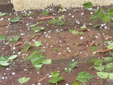 Bölgeden bir fırtına geçti, ıslak ve çamurlu bir zemin bıraktı. Yerdeki yapraklar ıslak ve kahverengidir ve etrafa saçılmış birçok küçük kaya vardır. Olay yeri oldukça karışık.