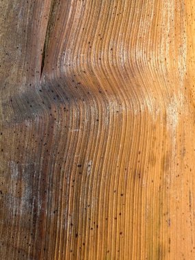 Tahta tohumu çok görünür ve dokusu pürüzlü. Tahta kahverengidir ve doğal bir görünüşü vardır.