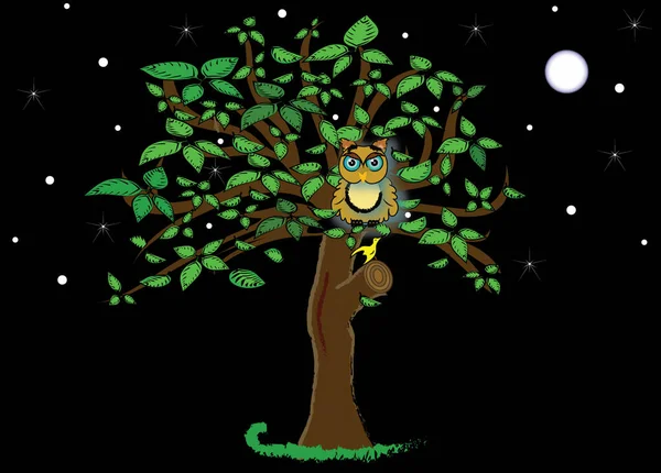 Night picture of a brown owl on a deciduous tree. Illustration of a night children\'s picture with birds in nature on the full moon.