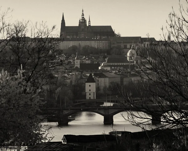 说明了历史名城布拉格旧城的质感 布拉格的春天来了 在塞迪亚 有着历史的一部分 城堡和弗尔塔瓦河上的桥梁 — 图库照片