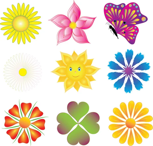 Set Icons Flowers Sun Butterfly Isolated Garden Floral Collection Symbols — Stock Vector