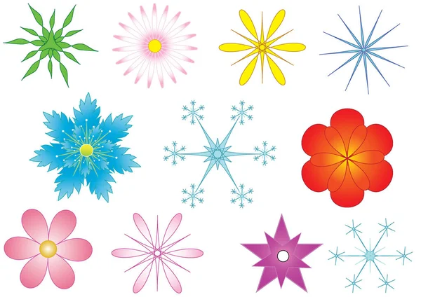 Colorful Floral Pattern Set Flowers Snowflakes Illustration Flowers Collection Design — Stock Vector