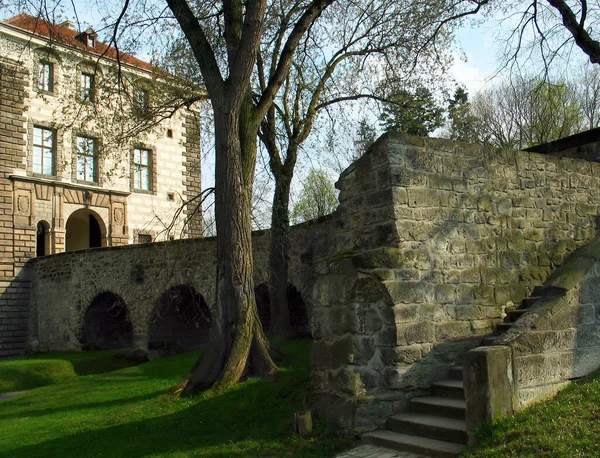 Замок Нелахозевес Одно Самых Красивых Зданий Эпохи Возрождения Чехии Парк — стоковое фото