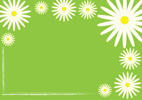 Fond Vert Floral Naturel Cadre Avec Camomille Blanche Fleurs Marguerites — Image vectorielle