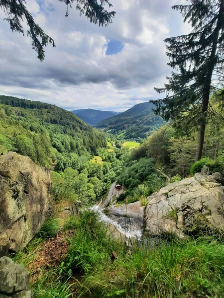 山の中で野生の川の景色 ヨーロッパのスイスの山の森の夏の風景と自然背景 — ストック写真
