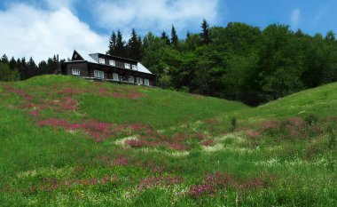 Old wooden cottage in the Krkonoe mountains. Background with landscape with blooming meadow and guesthouse, Czech Republic. clipart