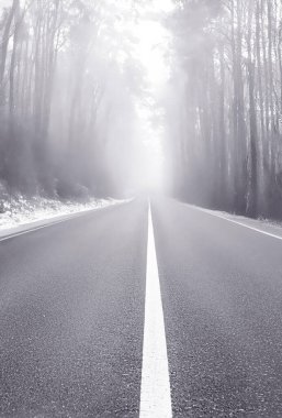 Asfalt yolda sağlam bir çizgi var. Ormanın ortasında sisli kış kuru atmosfer.