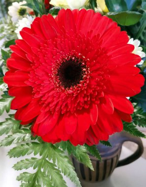 Büyük kırmızı gerbera çiçekli bir buket. Bir sürahi taze çiçek, eğreltiotu ile renkli çiçekler..