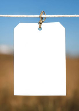 Doğal arka planda kolaj davetiyesi. Beyaz boş çerçeve, çamaşır ipinde iple asılı etiket. Doğal arkaplan.