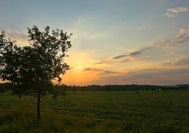 Tarım kırsalında akşam üstü gün batımı. Hasattan sonra tarlada ağaç, ormanın üzerinde güneş. Arkaplan.