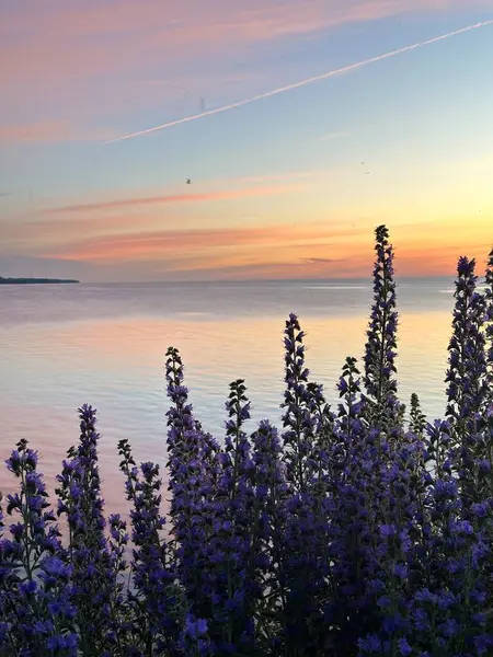 Gölün üzerinde güzel bir gün batımı