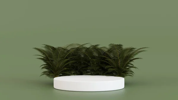 Cylinder Podium Pedestal Palm Tree Decoration Stage Product Presentation Rendering — Stock Fotó