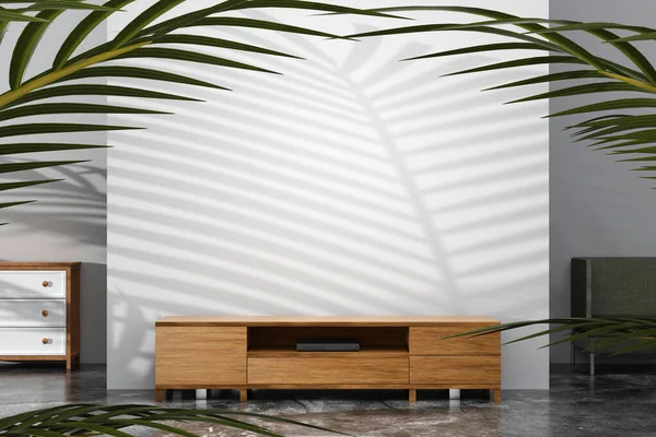 Moderner Holz Schrank Loft Stil Wohnzimmer Leere Wand Innenmockup Design — Stockfoto