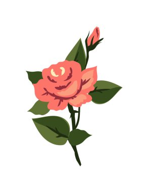 Vector rose flower on white background. Red,  pink and green. Floral graphic design element. Ukrainian fancywork.