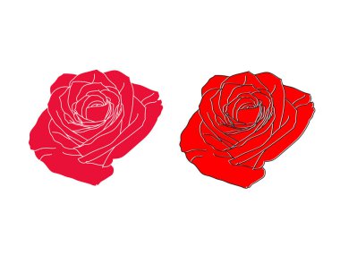 Beyaz arka planda kırmızı gül güzel bir vektör. Çiçek, botanik ve organik tasarımın için harika bir element. Dekoratif, düğün, aşk posteri.