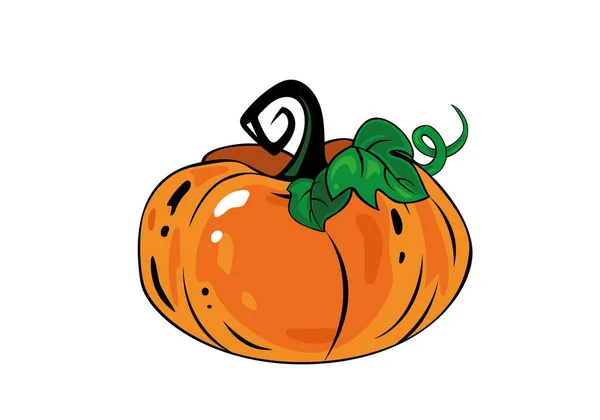Vector Orange Pumpkin Green Leaves White Background Great Element Autumn — Stock Vector