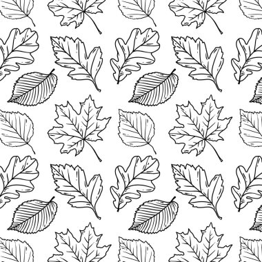 Akçaağaç yapraklı sonbahar şablonu, çizgi sanatı.