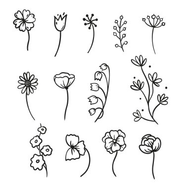 Grafik çizgili sanat çiçekleri. Özet olarak soyut çiçek elementleri siyah ve beyaz elementler