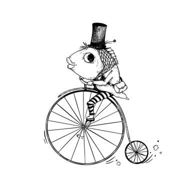 Old vintage bicycle, Penny-farthing, retro bicycle. Retro cover, poster, hand drawn illustration with fish on bicycle.  clipart