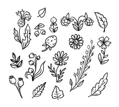 Yaz çiçeği çizgisi seti. Mevsimlik dekoratif öğeler. Doodle Botanik. El çizimi çiçek illüstrasyonu başlıklı