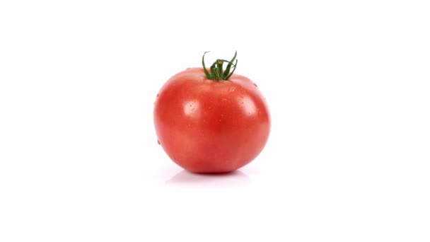 Tomate Épineuse Sur Fond Blanc Tomate Sur Fond Blanc Gros — Video