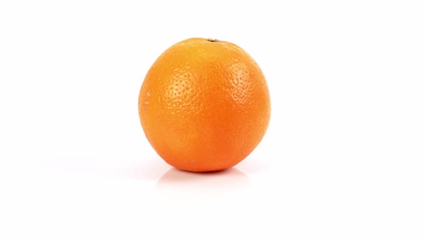 白を基調としたオレンジの果実 白を基調とした柑橘類 リンゴのクローズアップ 白を基調とした新鮮なオレンジ 孤立したオレンジの果実 — ストック動画