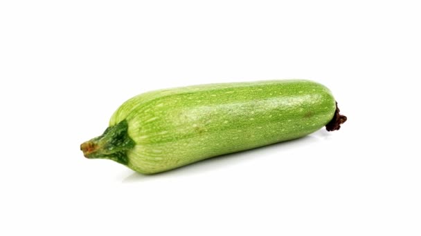 Spining Vegetable Marrow White Background Squash White Close Vegetable Marrow — Stock Video