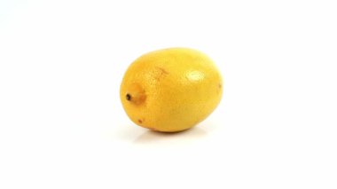 Beyaz arka planda limon meyvesi dönen turunçgiller, beyaz kaplamalı limonlar, beyaz arka planda dönen taze limonlar, izole edilmiş limon meyveleri.