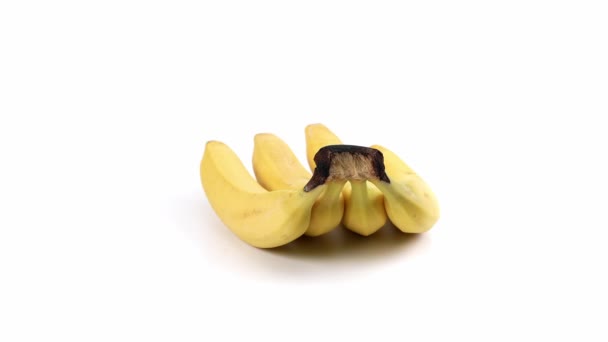 Plátanos Que Giran Fruta Sobre Fondo Blanco Plátanos Sobre Blanco — Vídeos de Stock