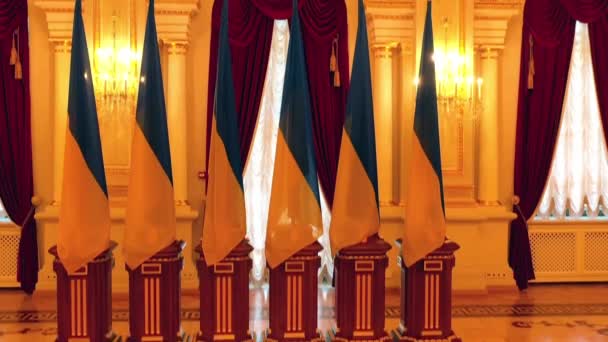 키예프에 마리인 우크라이나 대통령의 거처인 키프에 마리인 궁전의 — 비디오