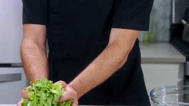 Szakács Dobja Saláta Levelek Apróra Vágott Saláta Lassított Felvételű Séf — Stock videók