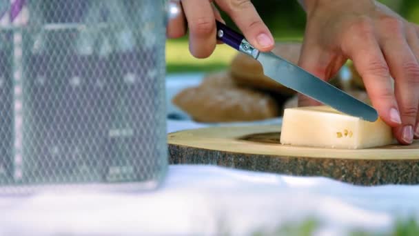 Mädchen Schneidet Käse Auf Einem Picknick Mädchen Schneidet Käse Nahaufnahme — Stockvideo