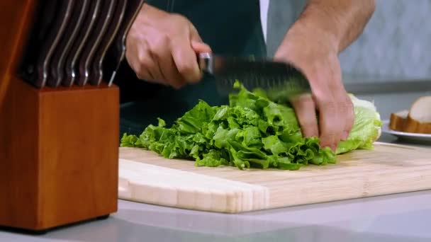Chef Cuts Salad Slow Motion Chief Make Salad Slice Salad — Stock Video